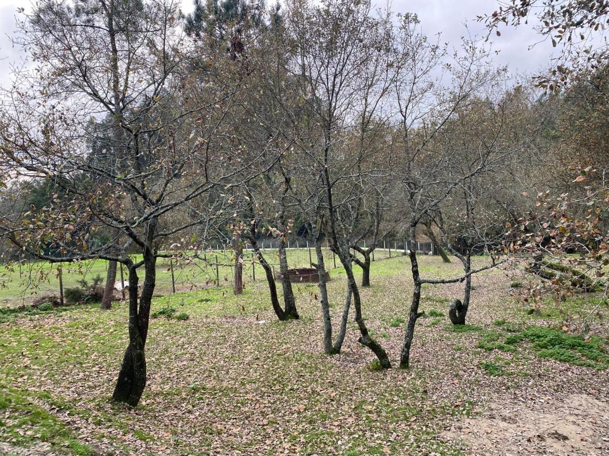 הוילה Souto da Carpalhosa Quinas Playground מראה חיצוני תמונה